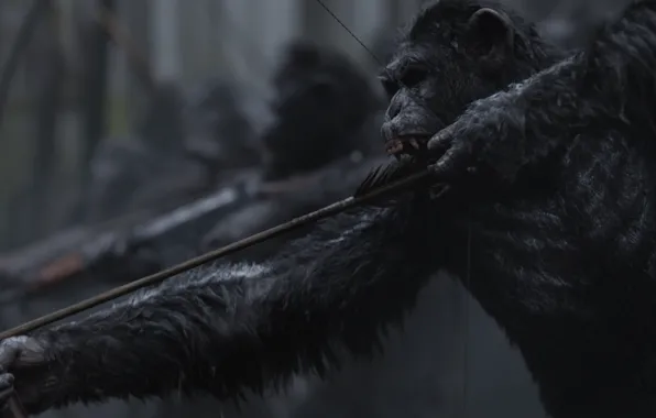 Monkey, bow, warrior, arrow, florest, war paint, saru, War for the Planet of the Apes