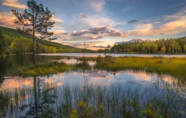 Landscape, sunset, lake