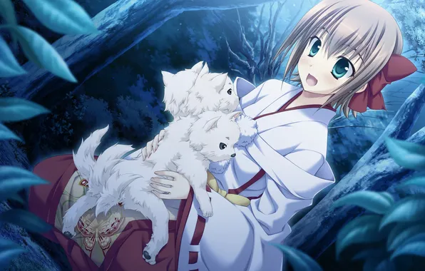 Picture girl, trees, night, nature, animal, butterfly, dog, art