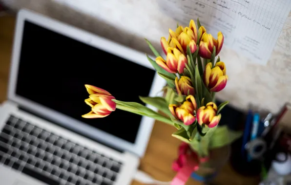 Picture flowers, tulips, laptop