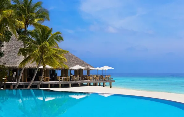 The ocean, pool, restaurant, The Maldives, resort, Bungalow, Maldives, luxurious summer resort