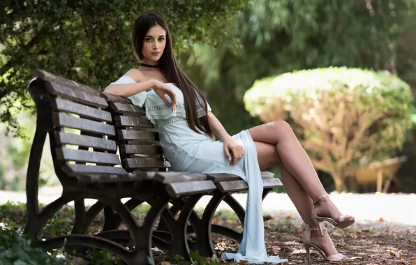 Picture look, bench, face, dress, cutie