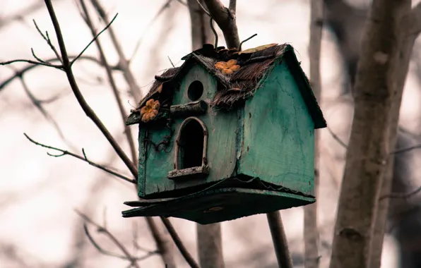 Picture sadness, birdhouse, Old house
