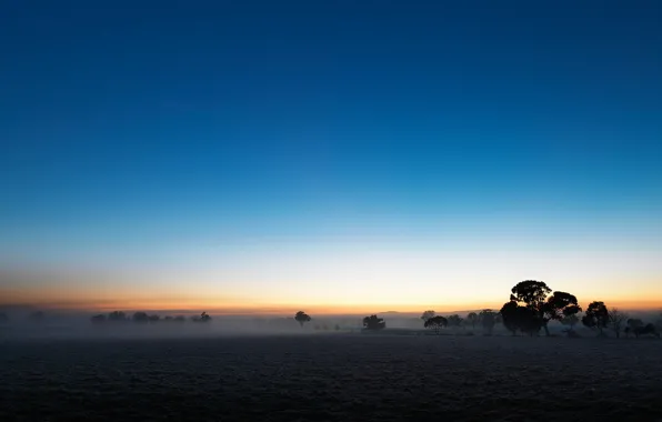 Field, the sky, fog, plain, twilight