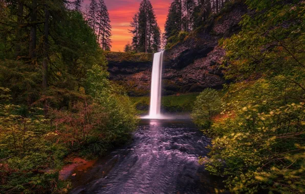 Picture trees, sunset, nature, waterfall, Oregon, USA, Silver Falls State Park