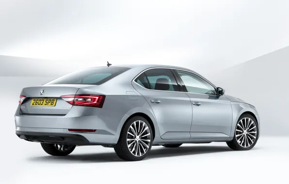 Profile, Back, Skoda, Skoda, Superb