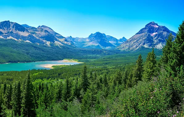 Picture greens, forest, the sky, the sun, trees, mountains, lake, panorama