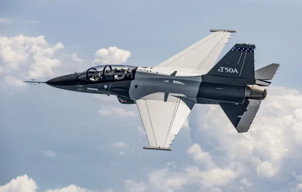 Flight, the plane, Lockheed Martin, combat training, T-50A