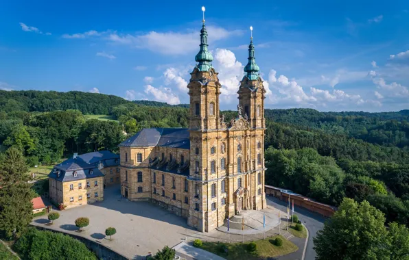 Forest, castle, the building, area