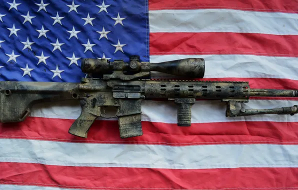 Picture weapons, flag, AR15, assault rifle, SPR