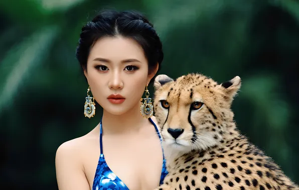 Look, girl, earrings, Cheetah, Chinese, bikini, Asian