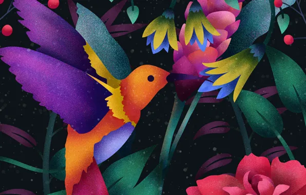 Picture Art, Wallpaper, Digital, Hummingbird