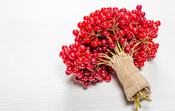 Picture berries, light background, Kalina