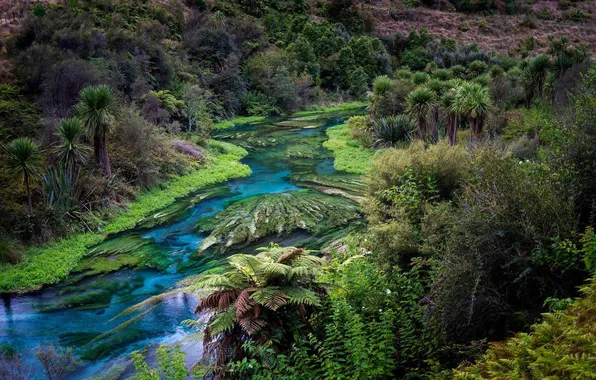 Picture Landscape, hills, stream