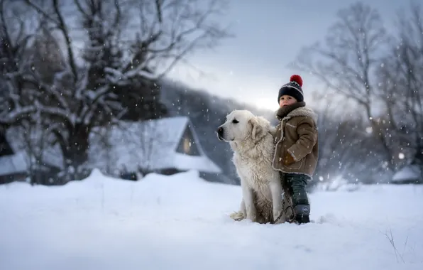 Picture winter, dog, boy