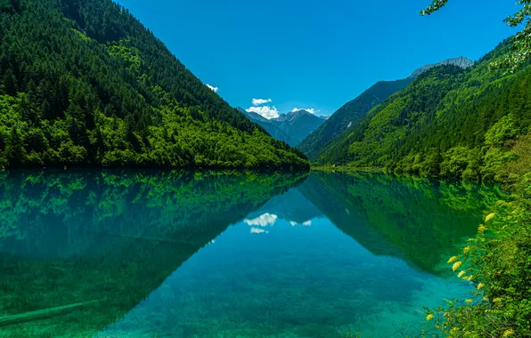 Forest, landscape, nature, lake