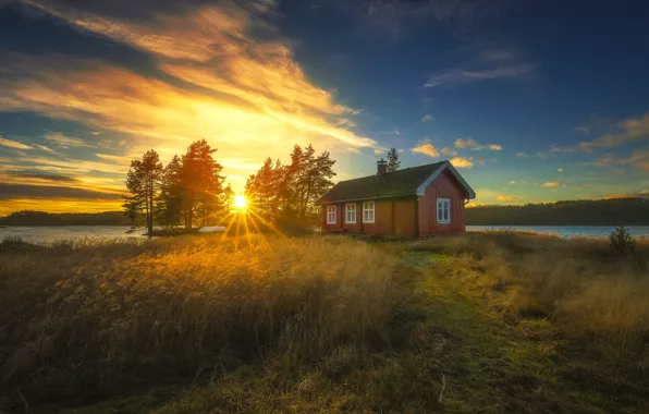 Picture trees, sunset, lake, house, Norway, reed, Norway, RINGERIKE