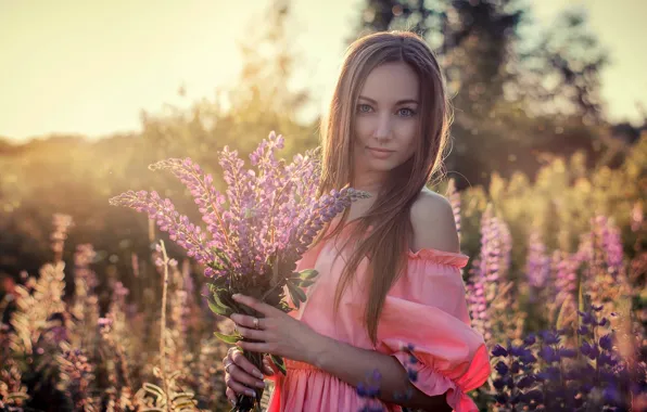 Field, grass, look, the sun, flowers, nature, pose, model