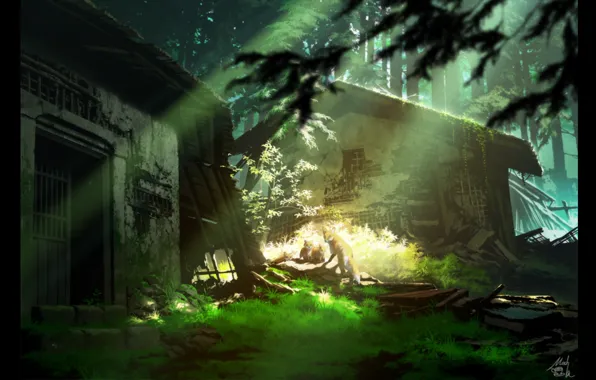 Forest, grass, rays, light, Fox, hut, destruction, desolation