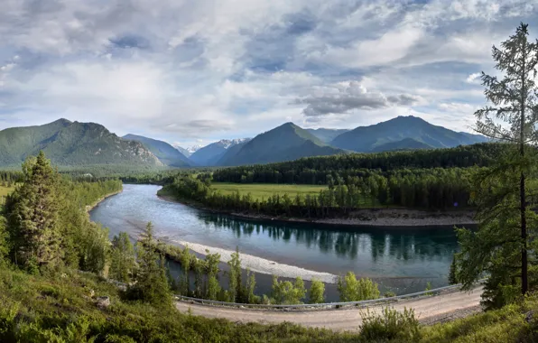 Picture road, forest, mountains, river, valley, Russia, Altay, The Altai mountains