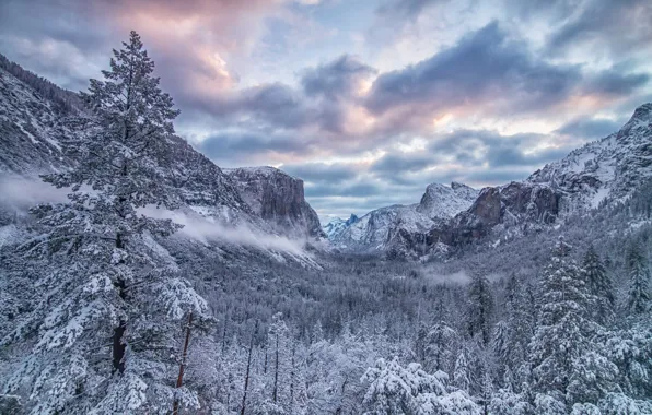 Picture winter, forest, trees, mountains, valley, CA, California, Yosemite Valley