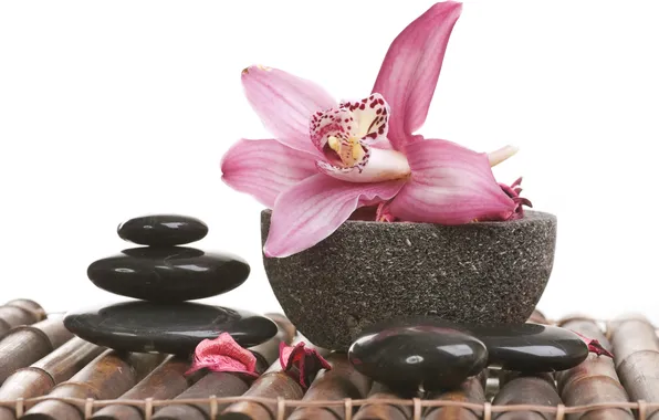 Picture bamboo, petals, bowl, Orchid, Spa stones