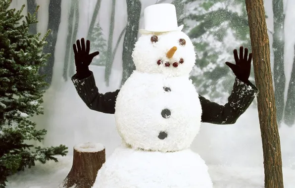 Winter, snow, people, hands, snowman