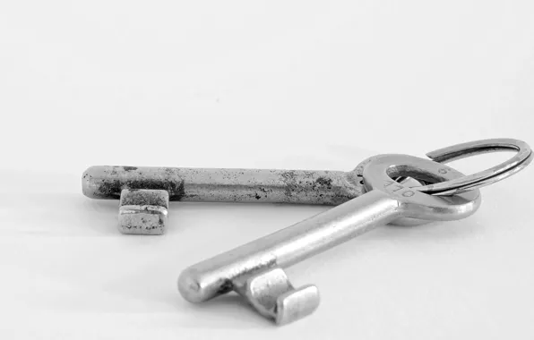 Macro, background, keys