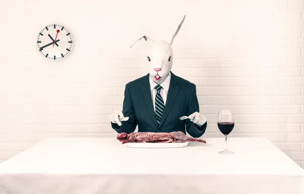 Rabbit, lunch, rabbit
