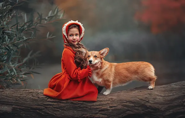 Tree, animal, dog, girl, child, dog, Ksenia Lysenkova