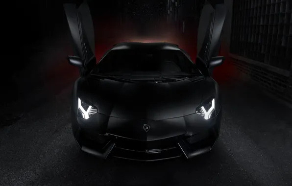 Picture Lamborghini, black, Lamborghini, open doors, front, LP700-4, Aventador, aventador