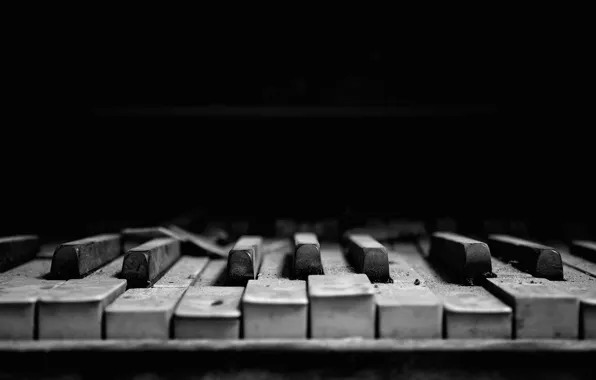 Plan, piano keys, Old Broken Piano Keys
