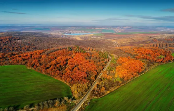 Picture autumn, forest, Panorama, Moldova