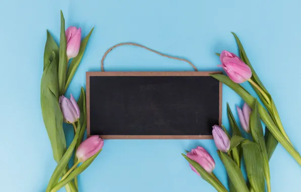 Flowers, Board, tulips, pink, fresh, wood, pink, flowers