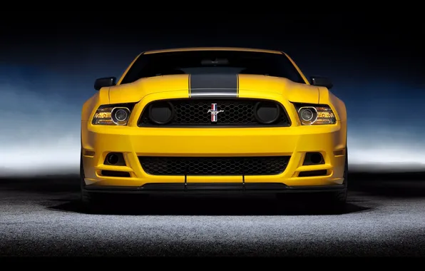 Yellow, strip, Mustang, Ford, boss 302