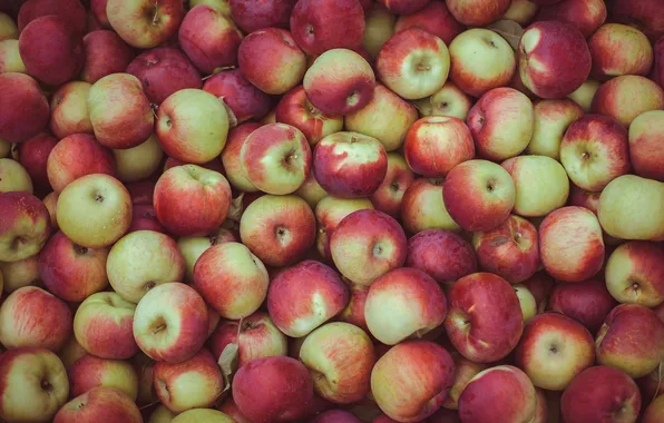 Picture apples, harvest, abundance