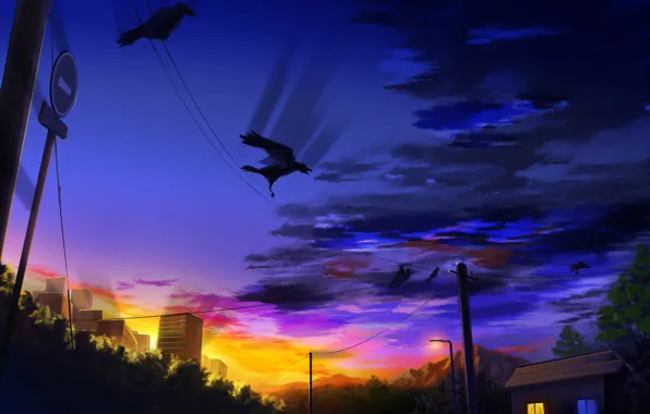 Sunset, the city, crows, power lines