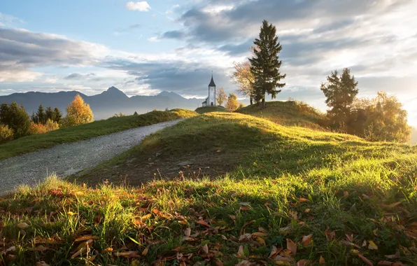 Picture road, autumn, grass, leaves, landscape, mountains, nature, hills