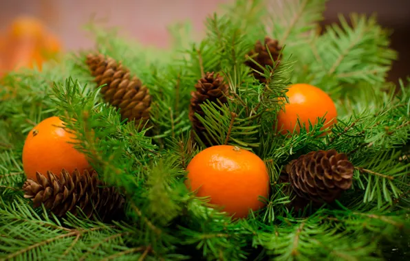 Decoration, New Year, Christmas, Christmas, wood, fruit, New Year, tangerines