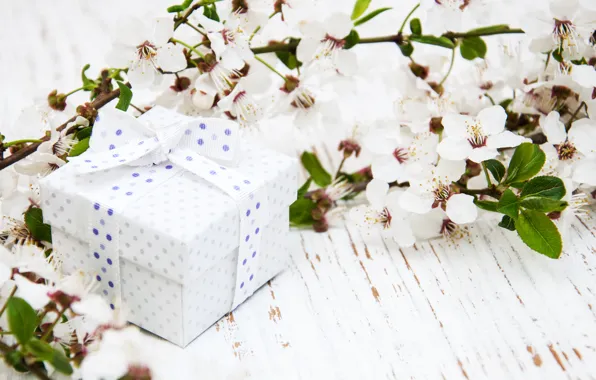 Flowers, gift, branch, Olena Rudo