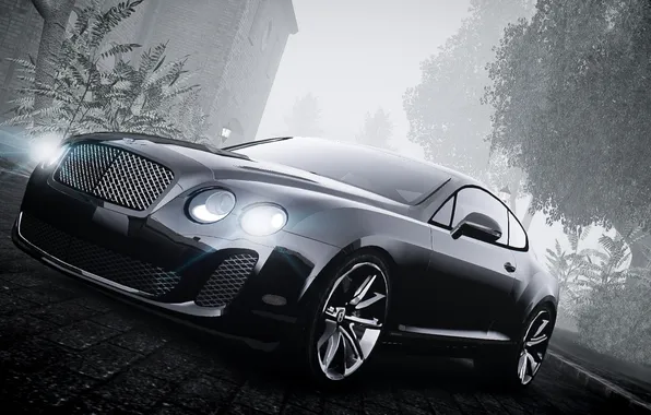 Machine, fog, b/W, GTA 4, Bentley Continental
