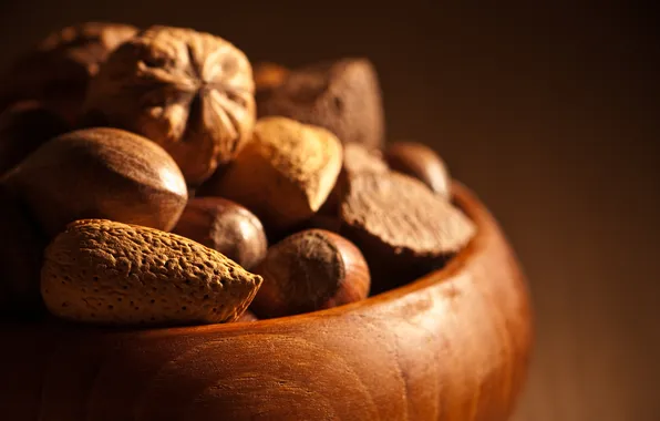 Background, nuts, almonds, hazelnuts, bowl, forest, walnut