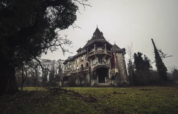 Picture fog, the darkness, home