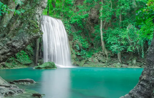 Forest, landscape, river, rocks, waterfall, summer, forest, tropical