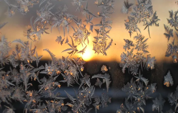 Picture cold, winter, glass, macro, sunset, frost