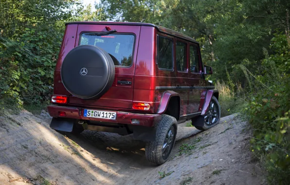 Mercedes-Benz, SUV, rear view, G500, G-Class, 2015, G 500, V8 Biturbo