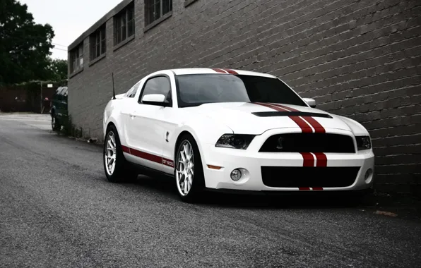 Picture road, white, strip, wall, mustang, ford, shelby, gt500