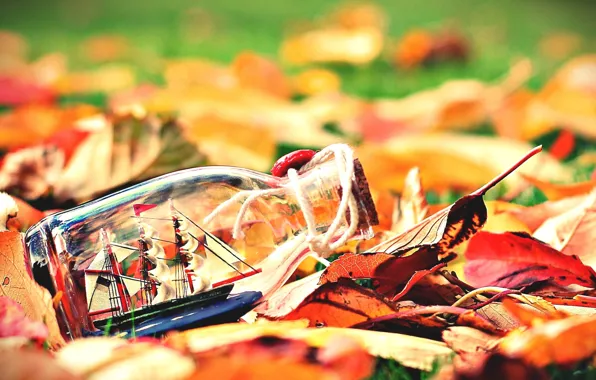 Autumn, leaves, background, widescreen, Wallpaper, mood, boat, ship