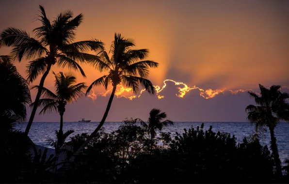 Sea, the sky, clouds, sunset, ship, the Palmach