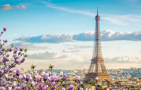 The sky, flowers, France, Paris, spring, Eiffel tower, flowering, Magnolia